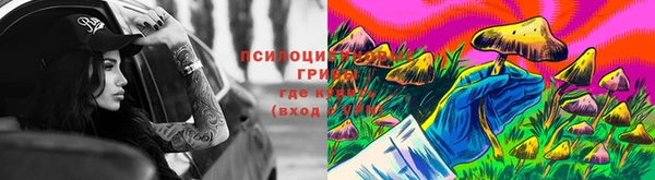 таблы Алзамай
