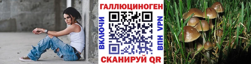 хочу   Беслан  Галлюциногенные грибы Magic Shrooms 